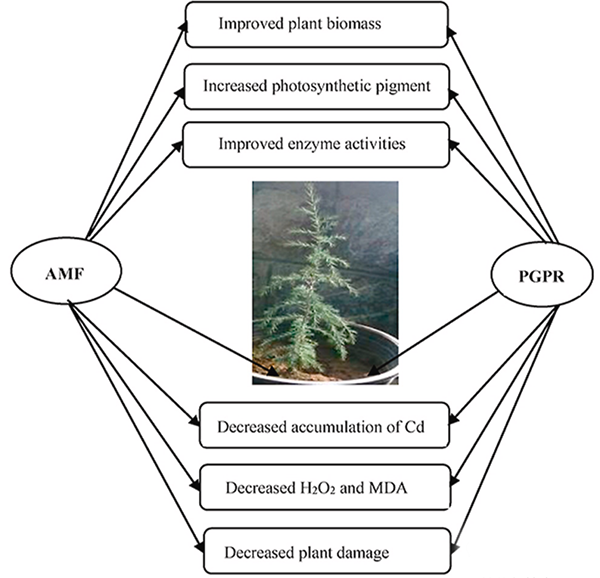 1648517163132840.png 5.png