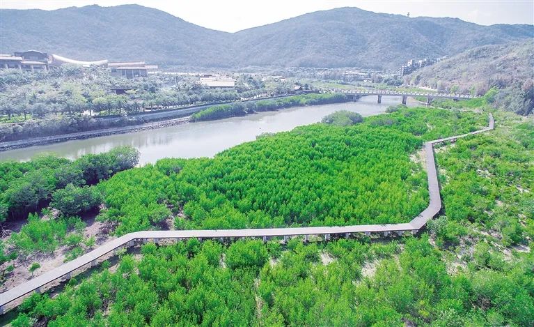 1650420622785035.jpg 640.jpg